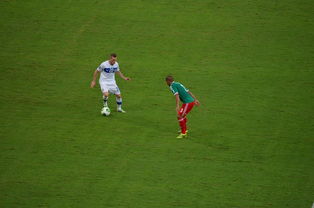 九游登录中心-中国足球对抗频次与伤病风险相关性，足球 对抗