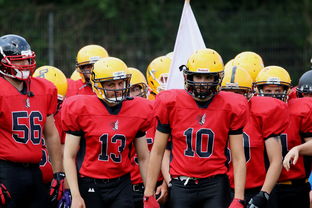 九游手游官网-球员伤病防护不足，球员伤病对球员的影响